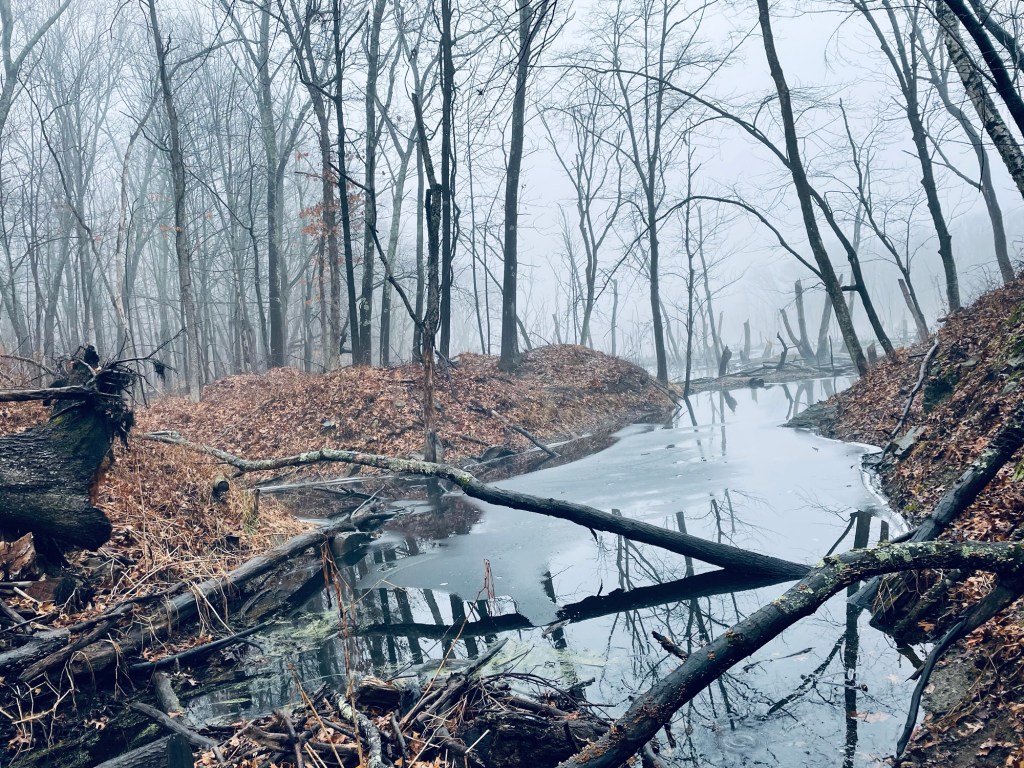 Timeless Travel: The History of the Nine Men’s Misery&nbsp;Monument